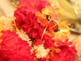 Tn IMG 2433